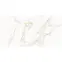 Csempe Calacatta Paonazzo Mat Carving 60/120,3