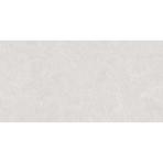 Csempe Cardosia Ash Stark Rustic 60/120