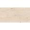 Csempe Rmtc Wood 612 6011 Rustic Carving 60/120,2