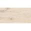 Csempe Rmtc Wood 612 6011 Rustic Carving 60/120,3