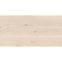 Csempe Rmtc Wood 612 6011 Rustic Carving 60/120,5