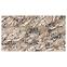 Szőnyeg Frisee Phoenix 2,0/3,0 6079 122,2