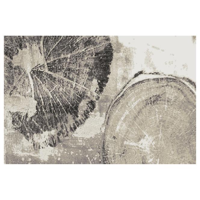 Szőnyeg Frisee Phoenix 0,8/1,5 6045 244,2