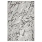 Szőnyeg Frisee Phoenix 1,2/1,7 6022 544