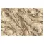 Szőnyeg Frisee Phoenix 2,0/3,0 6056 744,2
