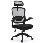 Szék Ergo Basic Lv0652