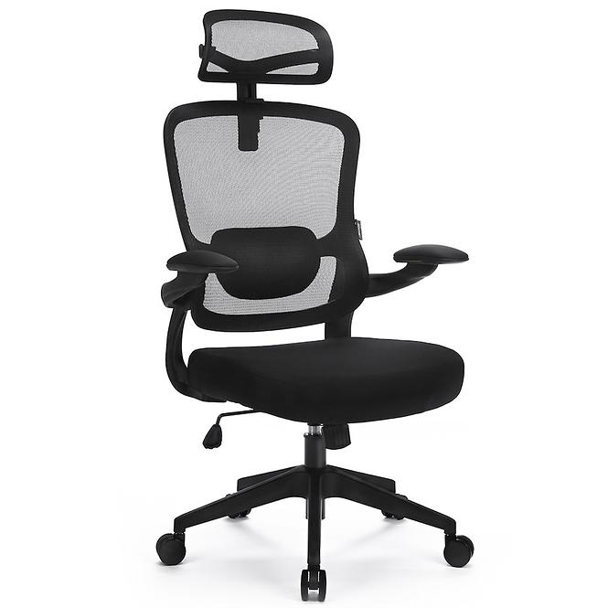 Szék Ergo Basic Lv0652