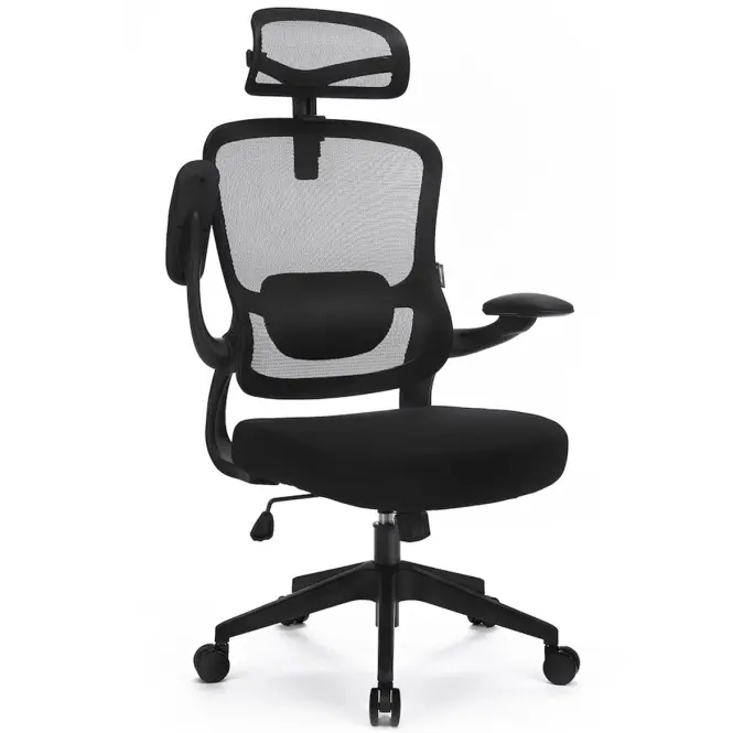 Szék Ergo Basic Lv0652