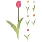 Mini tulipán 40 cm 5ass clr