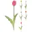 Mini tulipán 40 cm 5ass clr