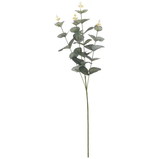 Eukaliptus 65cm