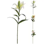 Liliom 59c m 3das