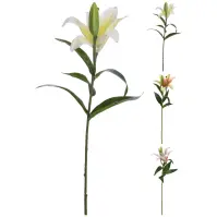 Liliom 59c m 3das