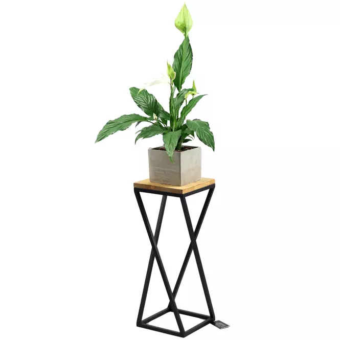 Virágállvány Tavolo 60x23,5 cm fekete