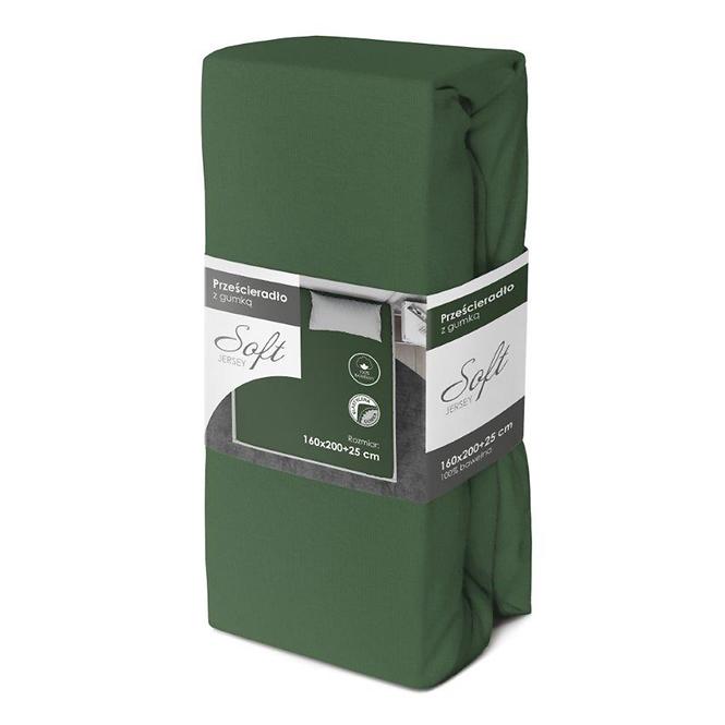 Lepedő Jersey gumiszalaggal 160x200 zöld