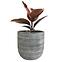 Virágcserép YS46172L cement,2