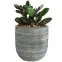 Virágcserép YS46172S cement,2