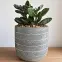 Virágcserép YS46172S cement,5