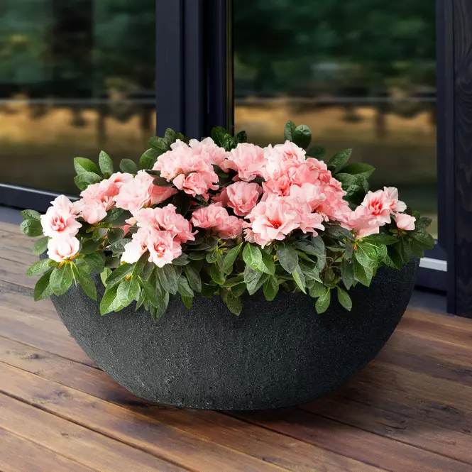 Virágcserép Stone antracit 60x34xh23 cm