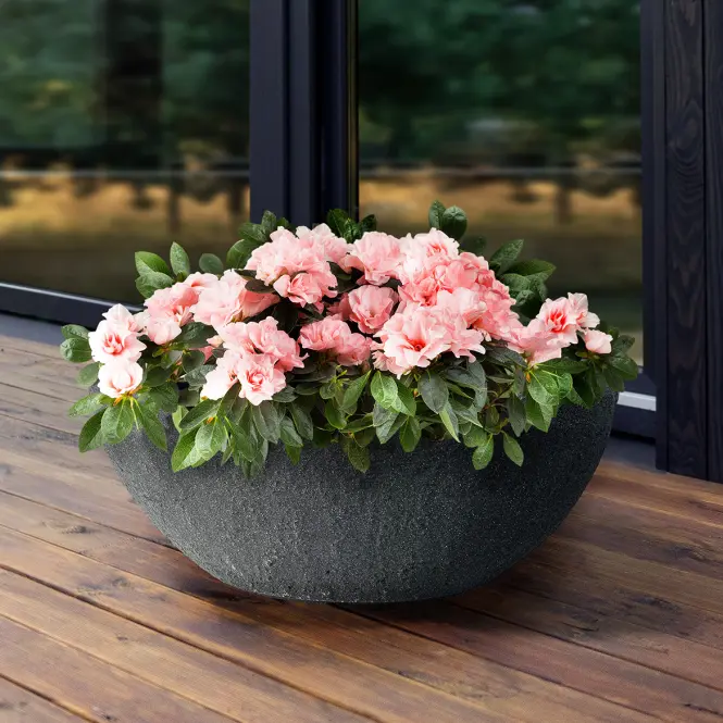 Virágcserép Stone steingrau 60x34xh23 cm