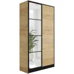 Szekrény Eden 2d 107 Tölgy Craft Aranysárga 1