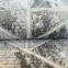 Szőnyeg Merlyne 0,8/1,5 E565A SGZ52 krémszínű/sötétszürke,7