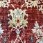 Szőnyeg Elena Cashmere Rug 1,33/1,9 Rs2566pt-2,4