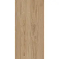 Csempe TRENIWOOD BEIGE 59.8/119.8