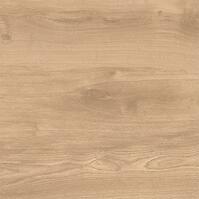 Latina Beige 60/60/2