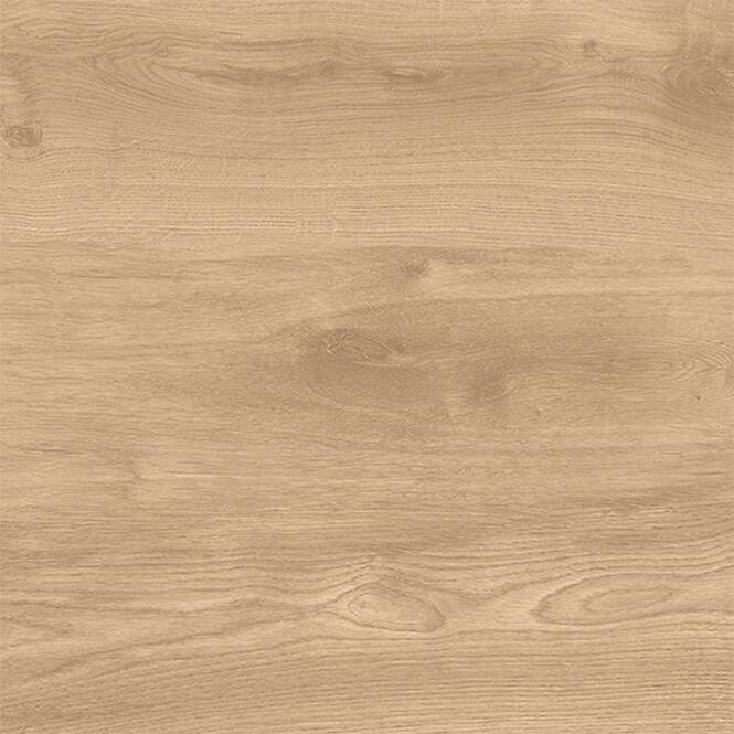 Latina Beige 60/60/2