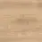 Latina Beige 60/60/2