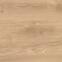 Latina Beige 60/60/2