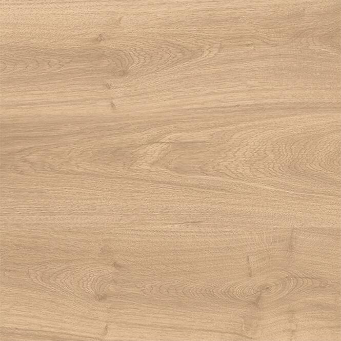 Latina Beige 60/60/2,2
