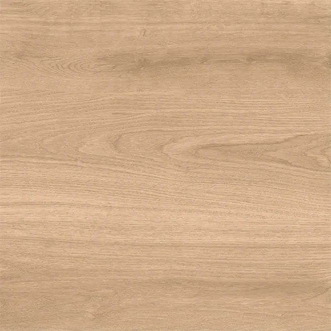 Latina Beige 60/60/2,4