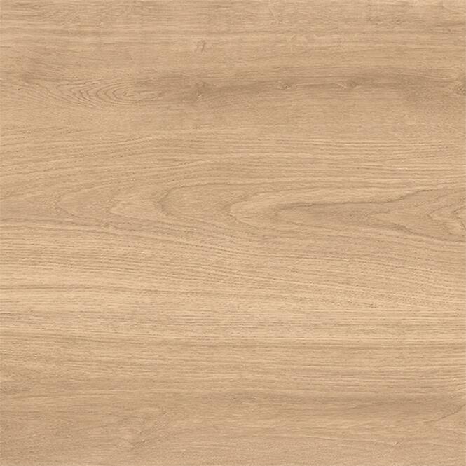 Latina Beige 60/60/2,4