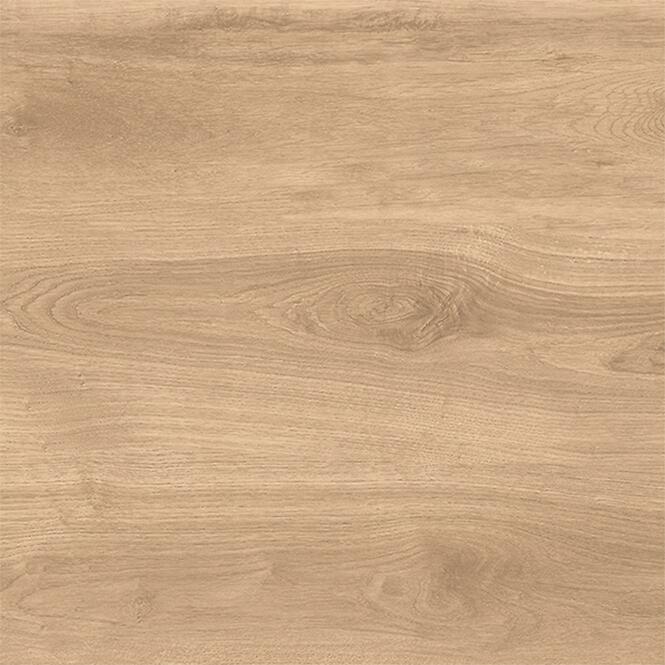 Latina Beige 60/60/2