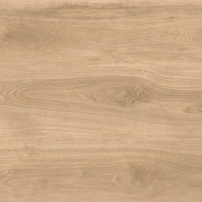 Latina Beige 60/60/2,5