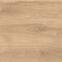 Latina Beige 60/60/2,5