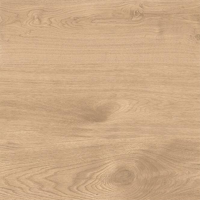Latina Beige 60/60/2