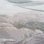 Szőnyeg Argentum 1,33/1,95 63557 6747 0 4,2