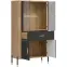 Vitrin Alacsony Dante Dt12 Tölgy Cremona/Antracit,6
