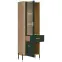 Vitrin L/P Dante Dt13 Tölgy Cremona/Zöld,6
