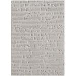 Szőnyeg Alba 0,8/1,5 FR2522 szürke