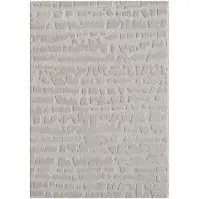 Szőnyeg Alba 1,6/2,3 FR2522 szürke