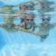 Úszószemüveg Swim Gear,12
