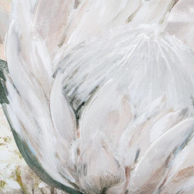 Kép 80x80 cm WP225462AFB
