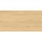 Legno Tavola Beige 60/120,2