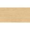 Legno Tavola Beige 60/120,4