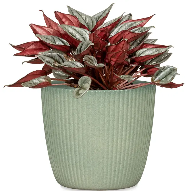 Virágcserép Aura Jade 842/19