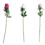 Rózsa átmérő 4 cm 50 cm mix 443496
